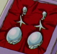 the earrings in their case